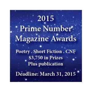 PNM Awards square banner