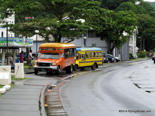 Samoan Bus Stop