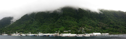 Samoa Tuna Processors