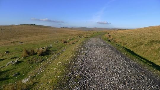 Dartmoor walk 1