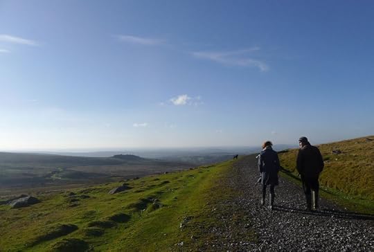 Dartmoor walk 7