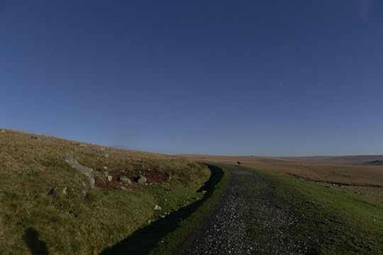 Dartmoor walk 8