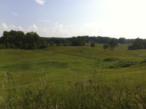 Rhoads_Gilchrist_3831