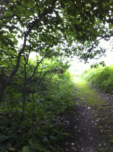 Rhoads_Gilchrist_3839