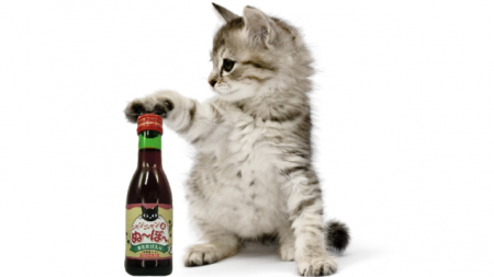 wine for cats