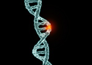 Mutation