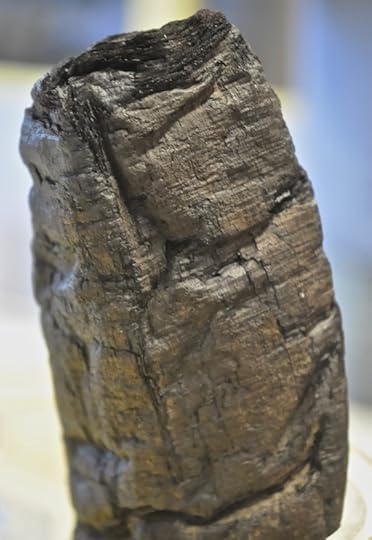 rolled scrolls of herculaneum