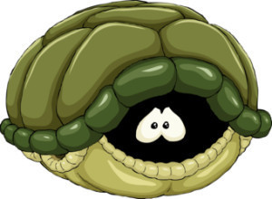 turtle
