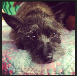 Lefty takes a break from playing 