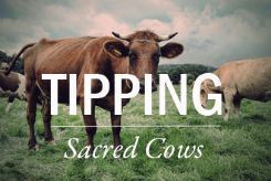 10-Sacred-Cows-that-Need-to-be-Tipped_1243_245x169