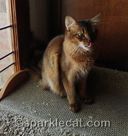 Whatever that was on my nose, it tasted weird!