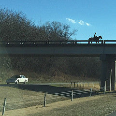 That time I was on my way to Charlotte and saw a horse and rider on an overpass.