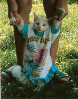 snowbell