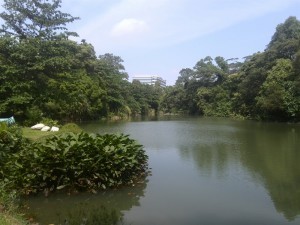 Kent Ridge Top Things to do in Singapore Survive Travel