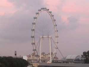 Singapore Eye Top Things to do in Singapore Survive Travel