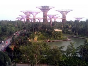 Garden by the bay Top Things to do in Singapore Survive Travel