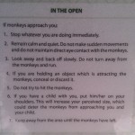 Monkey Rules Top Things to do in Singapore Survive Travel