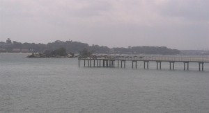 Coastal boardwalk Top Things to do in Singapore Survive Travel
