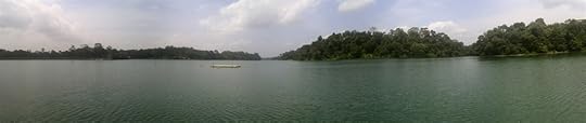 MacRitchie Reservoir Top things to do in Singapore