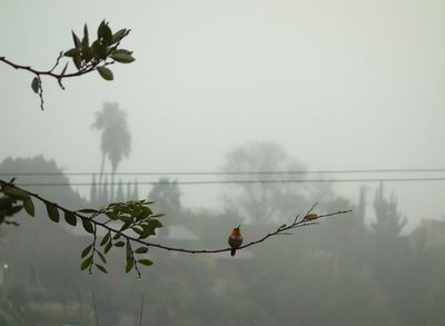 DSC03124