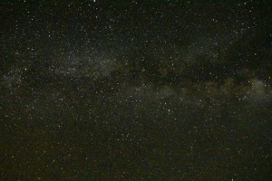 Sedona 216
