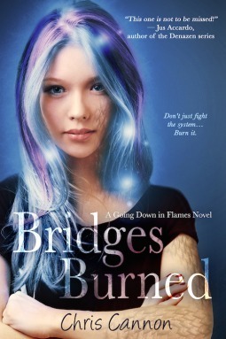 bridges burned