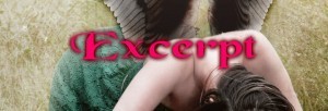 Excerpt banner