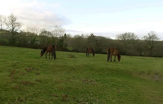 Ponies grazing on the Commons