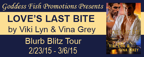 BBT_TourBanner_LovesLastBite