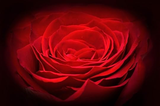 Root Chakra Underactive Red Rose