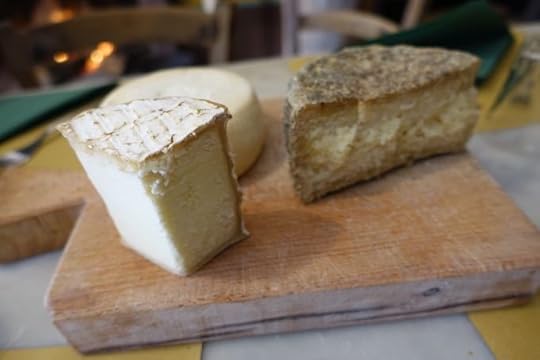 Caciosteria