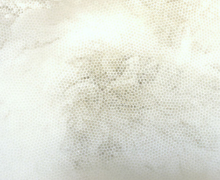 Tara Donovan's installation using plastic straws. �� Tara Donovan.