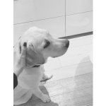 Guardiamo la Tv insieme