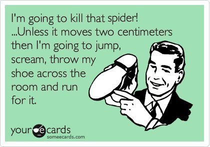 killing spiders