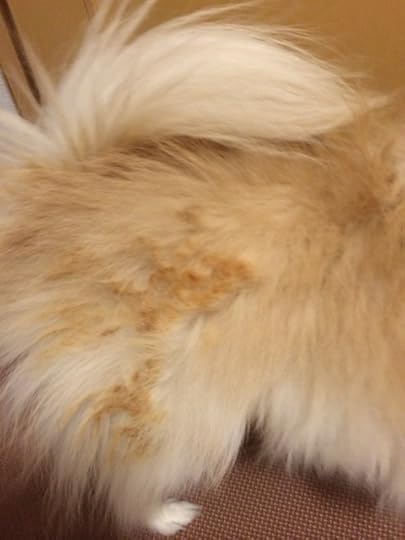 {D01E14F3-B3B6-4DAA-9A0F-77F88C51538B:01}