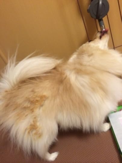 {5C0B8725-3965-4C30-A9CE-E507BD5166D0:01}