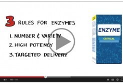 digestive-enzymes