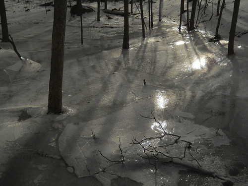 ice scape