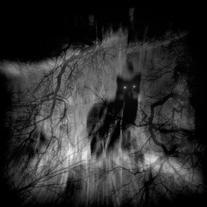 shadow_cat_by_lostknightkg