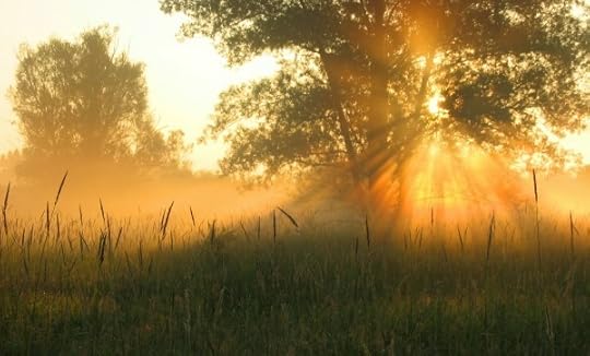 What to Do When We’re Prayerless