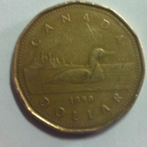 loon