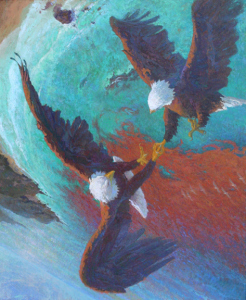 gallup.d-Vertigo - Whirling Bald Eagles Over Santa Cruz Island