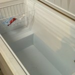empty freezer