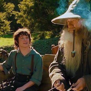 frodo and gandalf1
