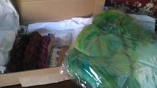 IMG_20150123_152634866