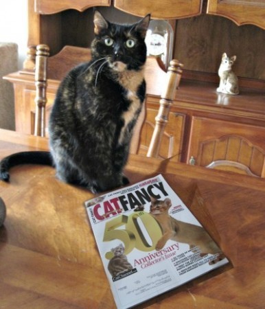 cat--fancy-final-issue
