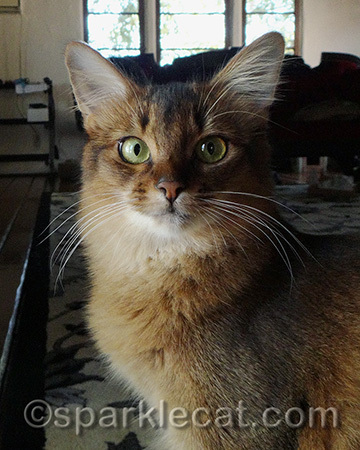 Do I look all newsy and dignified here?