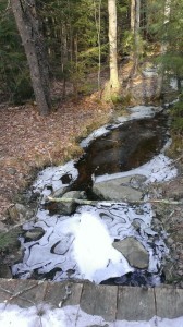 woodswalk