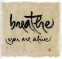 Breathe you are alive