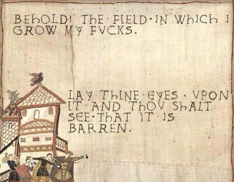  photo behold-the-field-in-which-i-grow-my-fucks_zpsrndrcalg.jpg